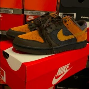 Brand new Nike dunk low cider
